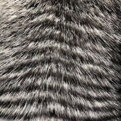 Materiale anteriore 100% poliestere Tessuti di pelliccia finta per abbigliamento invernale in varie densità