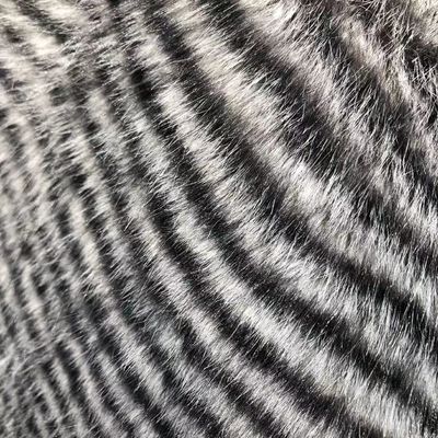 Materiale anteriore 100% poliestere Tessuti di pelliccia finta per abbigliamento invernale in varie densità