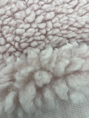Tessuto Teddy in lana di Sherpa 100% poliestere Peso pesante per abiti invernali