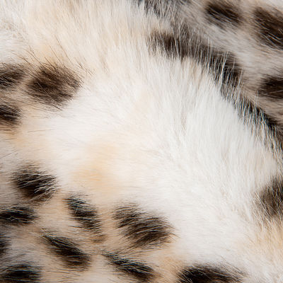 1050g/m Stampa animale Long Pile Fux Fur Fabric con Leopard Stampa Mink Fur