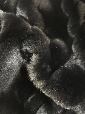 Soft Hand Feel False Black Coat con 1150g/m di peso e tecnici di supporto a maglia
